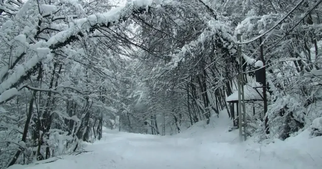 Drumul pana la Pestera Muierii