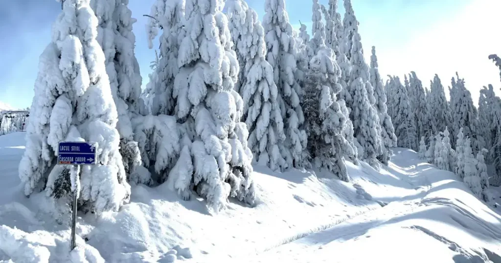 Drumul spre Cascada Cailor