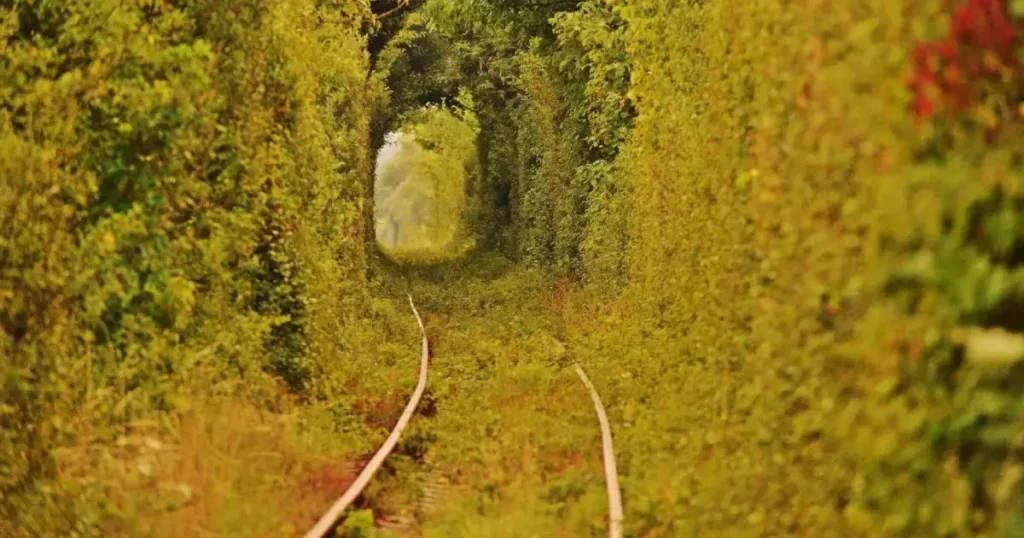 tunelul iubirii toamna tarzie