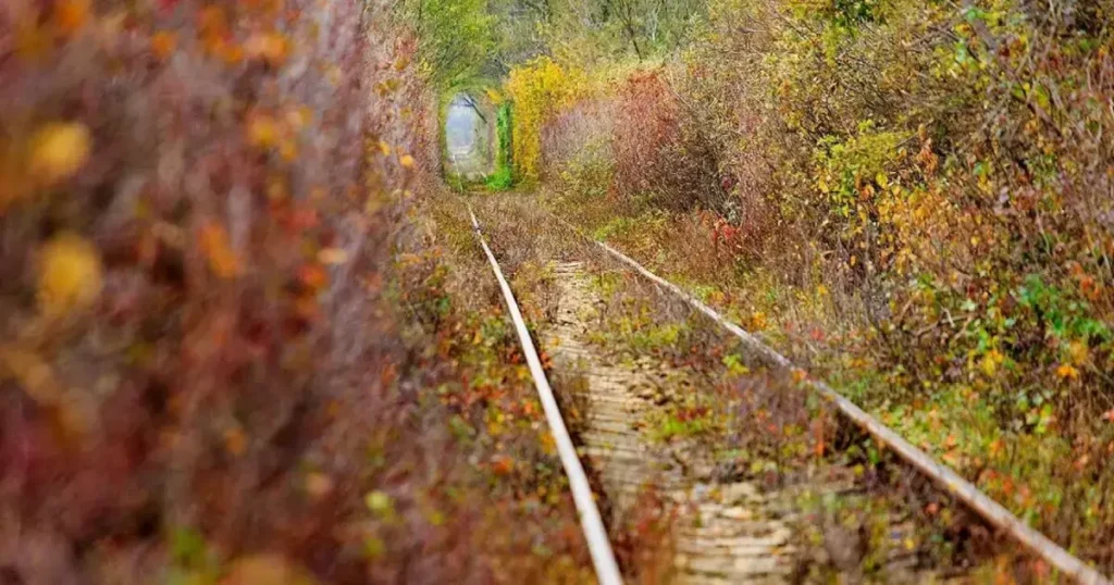 Tunelul iubirii toamna