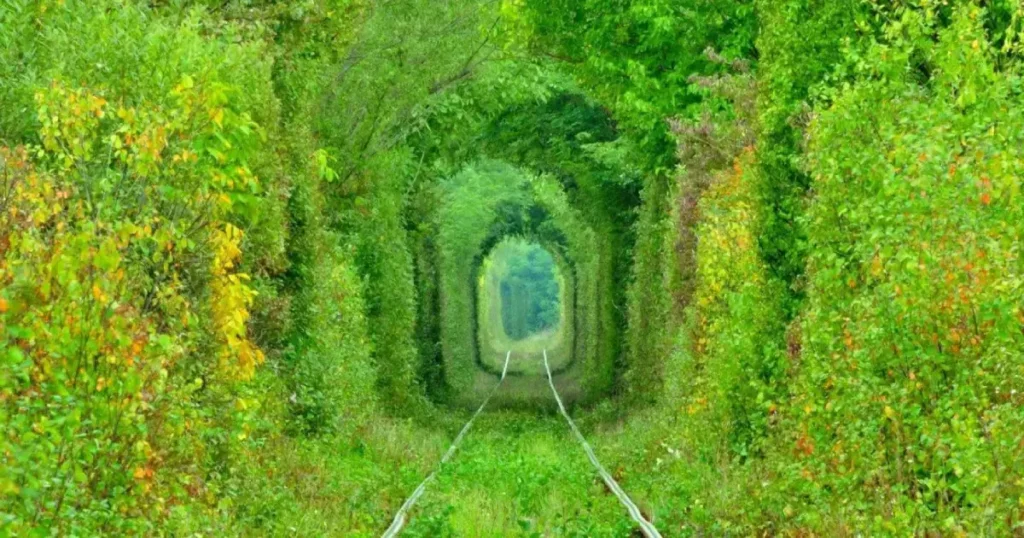 Tunelul iubirii Primavara