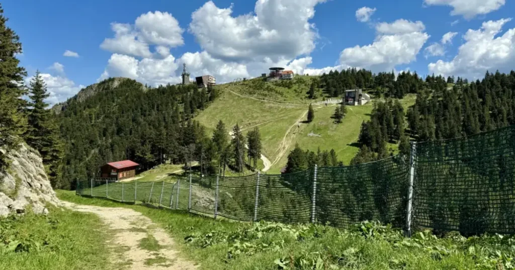 Varful Postavara vara