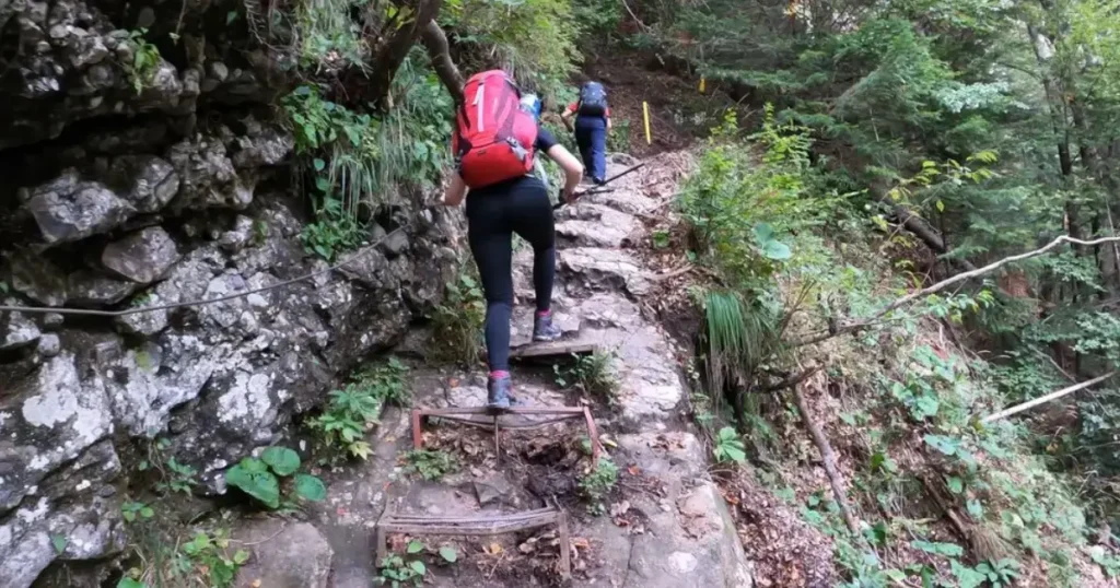 jepii mici scara de fier