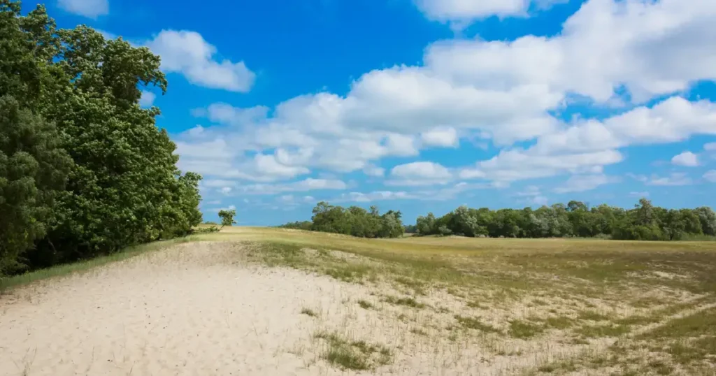 Cerul albastru si dunele de nisip