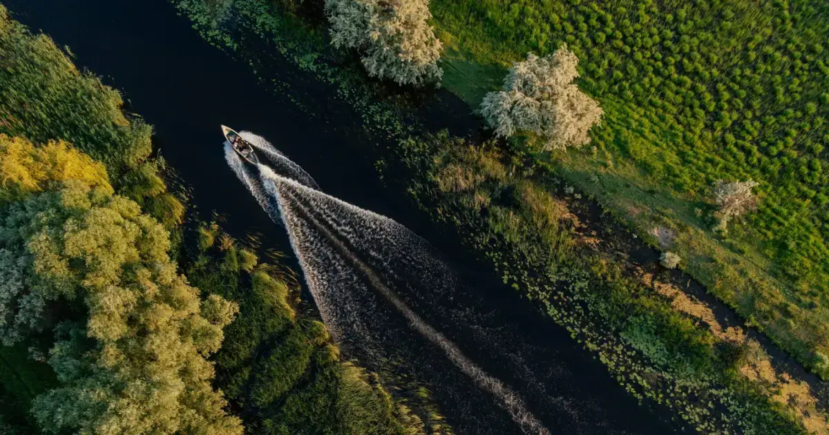 barca Delta Dunarii, Padurea Letea