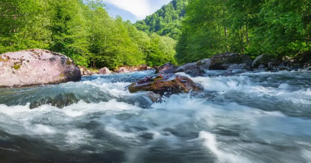 apa involburata a raului vara