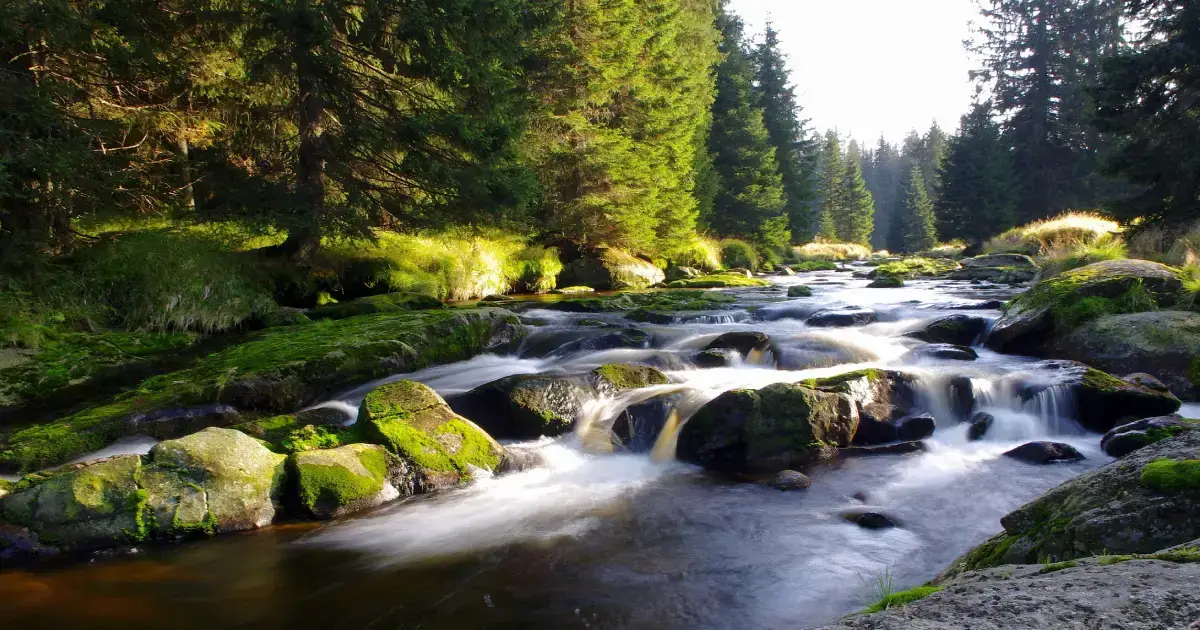 apa curgatoare in zona de munte