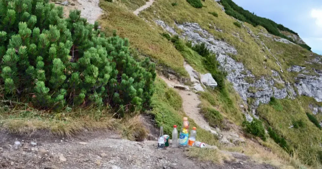 sticle de plastic zona montana